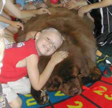 therapy dog