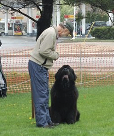 newfoundland dog recall