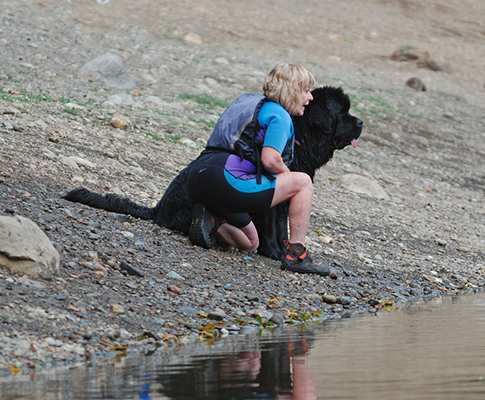 newfoundland dog water work